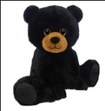 Maine Black Bear